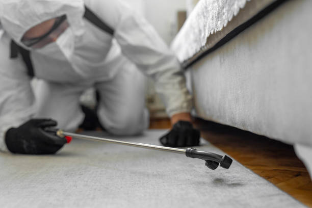 Professional Cockroach Control technician working in Holt, MI