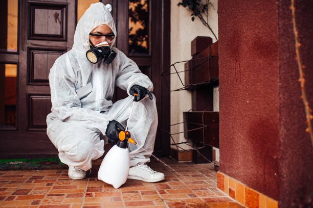 Reliable Cockroach Control contractor in Holt, MI by Nex Pest Control